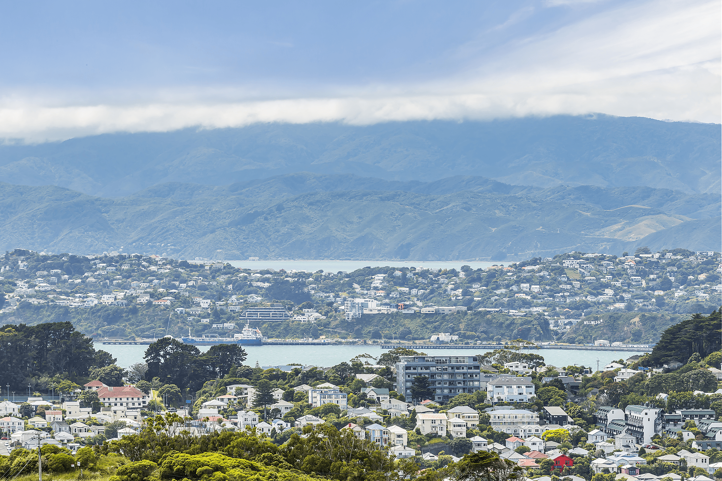 29 Mana Street, Vogeltown, Wellington 6021