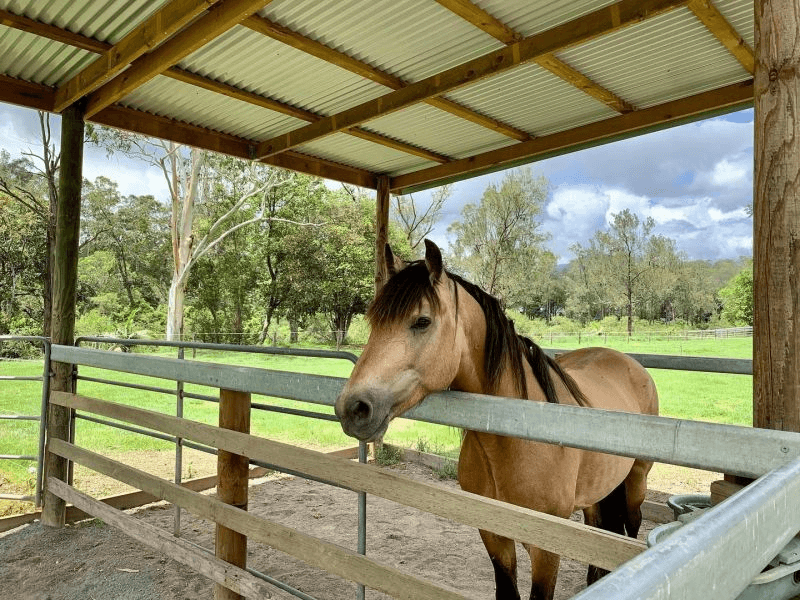 212 Stewart Road, CLAGIRABA, QLD 4211