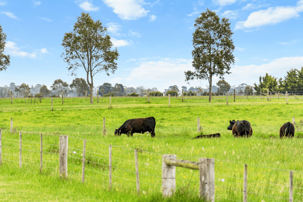 769 Lower Heart Road, The Heart, VIC 3851