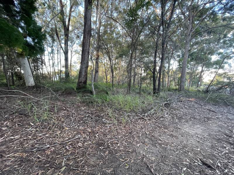 11 Canaipa Rd, Russell Island, QLD 4184