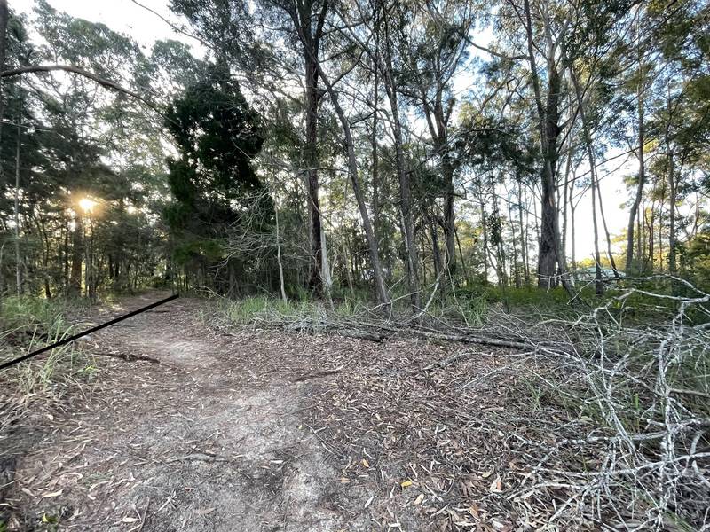 11 Canaipa Rd, Russell Island, QLD 4184