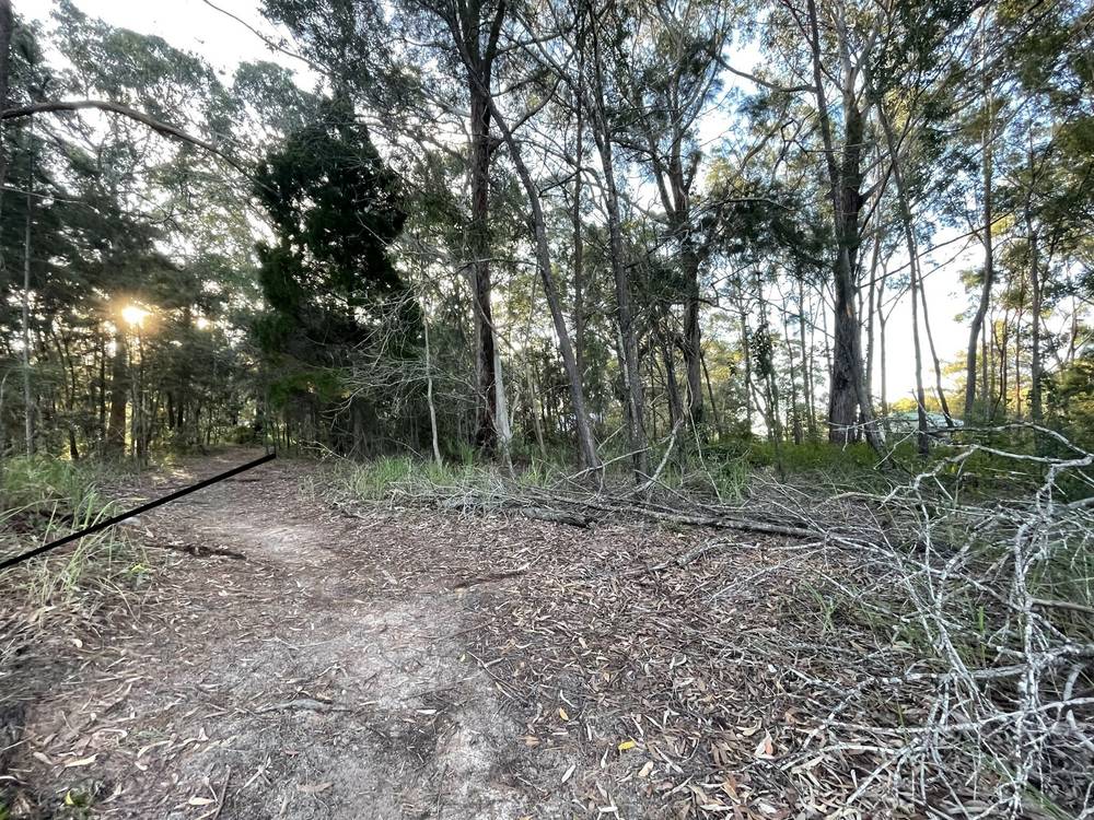 11 Canaipa Rd, Russell Island, QLD 4184