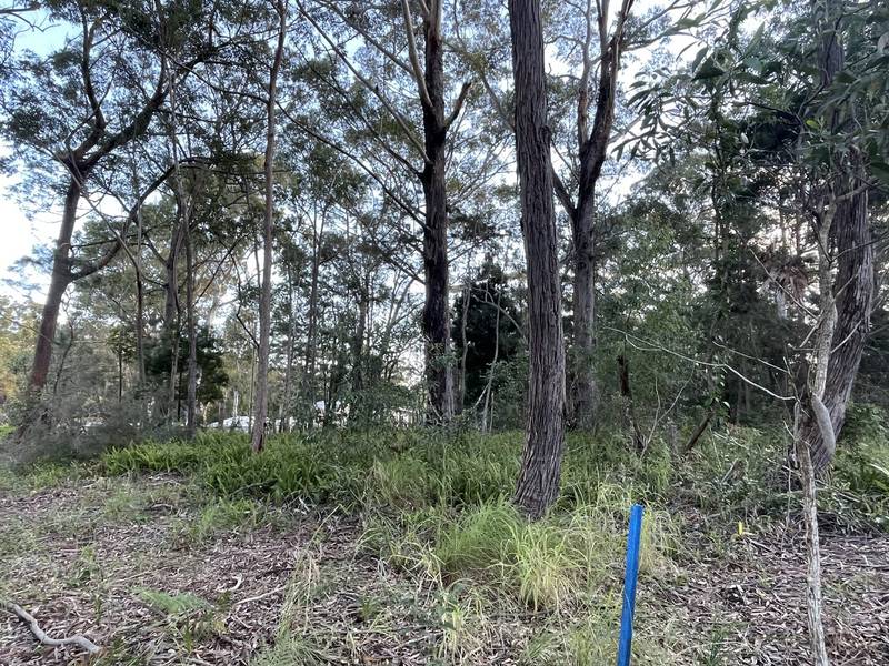 11 Canaipa Rd, Russell Island, QLD 4184