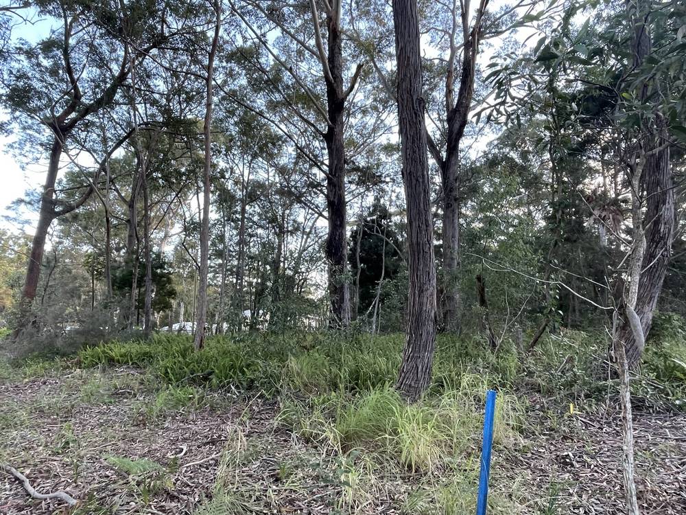 11 Canaipa Rd, Russell Island, QLD 4184