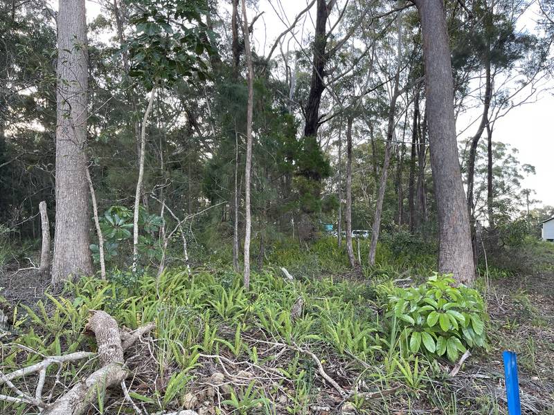 11 Canaipa Rd, Russell Island, QLD 4184