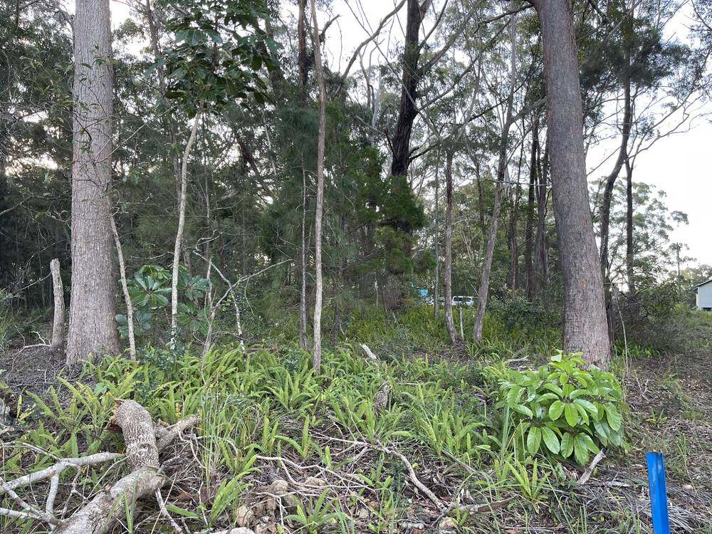 11 Canaipa Rd, Russell Island, QLD 4184