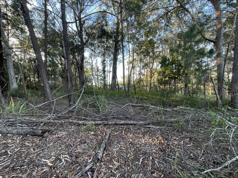 11 Canaipa Rd, Russell Island, QLD 4184