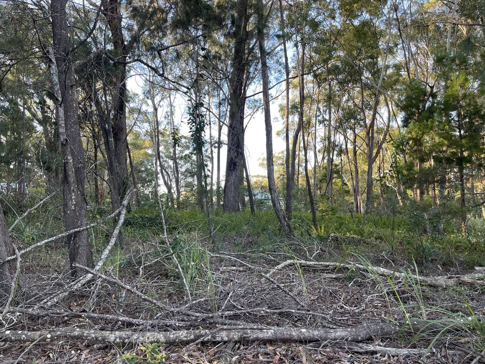 11 Canaipa Rd, Russell Island, QLD 4184