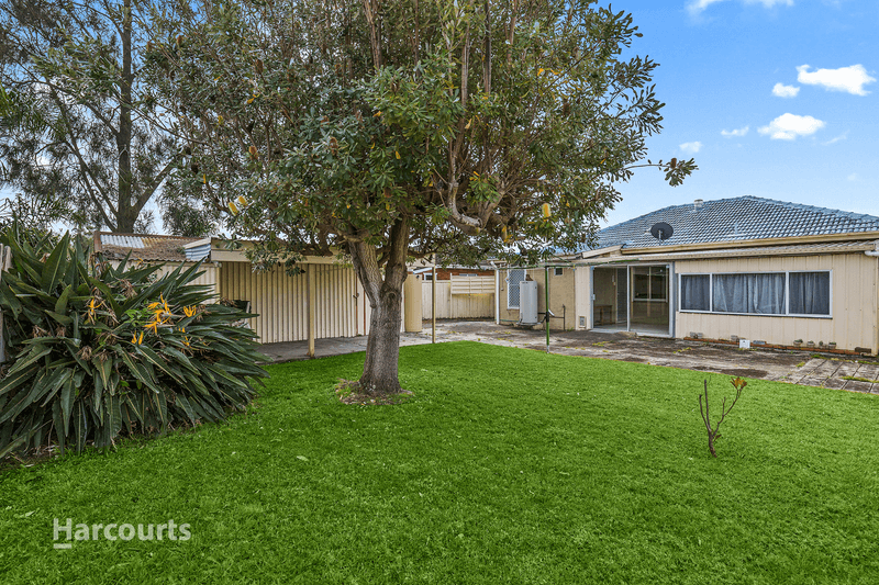 31 Cassia Street, BARRACK HEIGHTS, NSW 2528