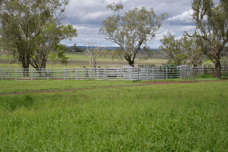 379 Richards Road, JONDARYAN, QLD 4403