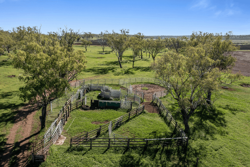 379 Richards Road, JONDARYAN, QLD 4403