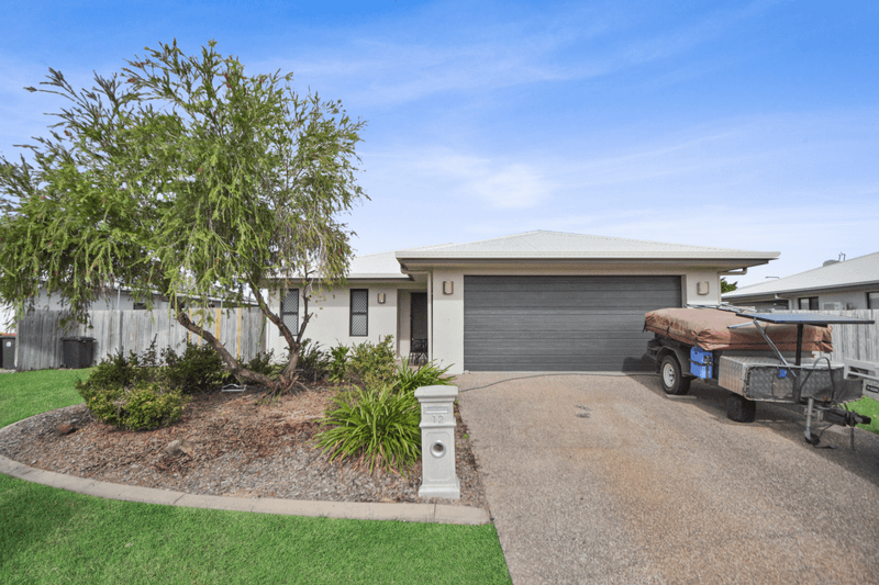12 Epping Way, Mount Low, QLD 4818