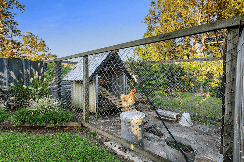 38 Eudlo Road, Mooloolah Valley, QLD 4553