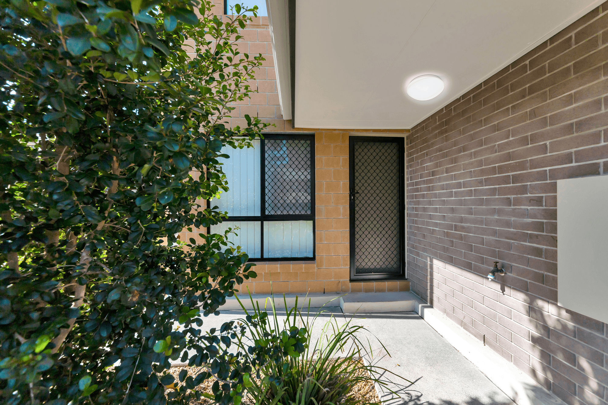 114/23 EARL STREET, DINMORE, QLD 4303