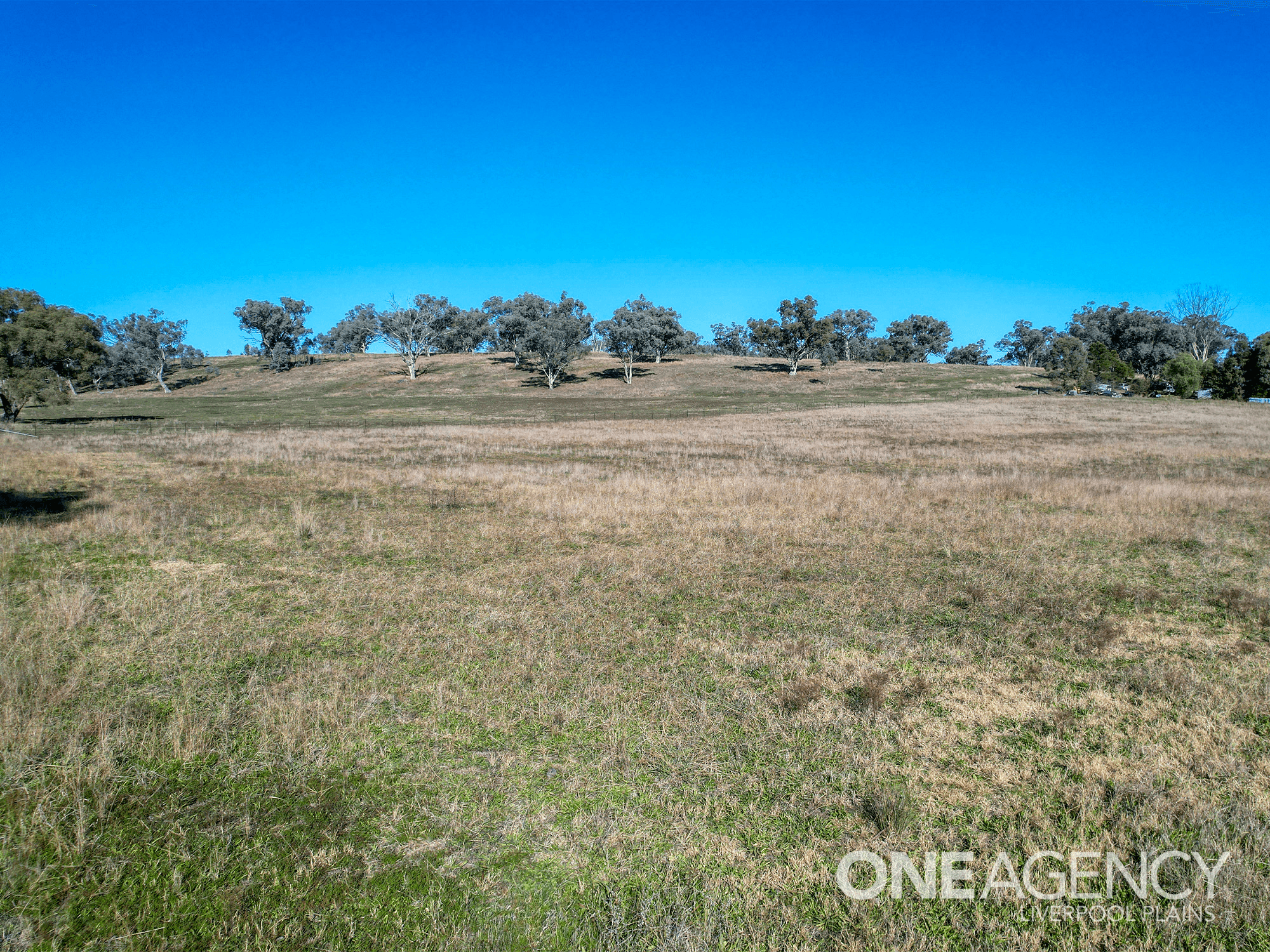 141 Wallabadah Road, WALLABADAH, NSW 2343