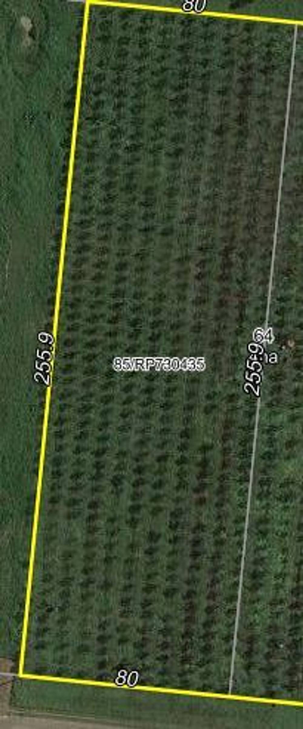 Lot 85/64 Plantation Ave, Horseshoe Lagoon, QLD 4809