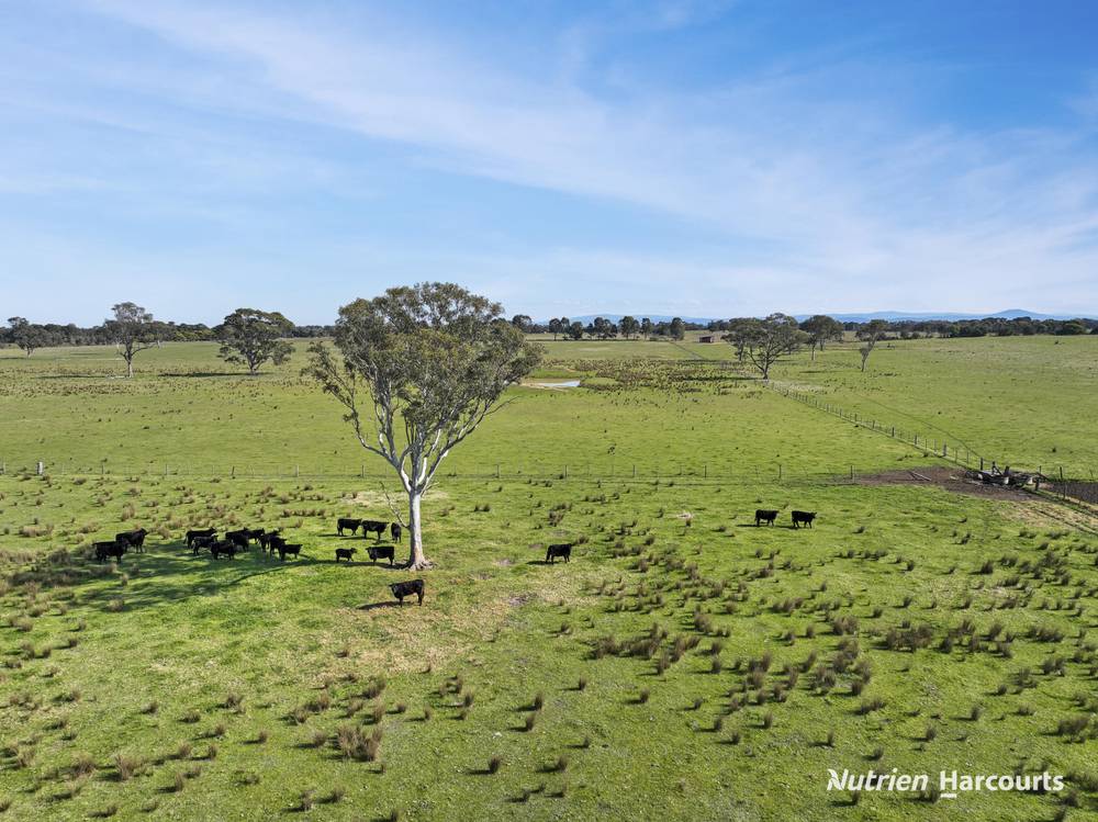 451 Stratford-Bengworden Road, STRATFORD, VIC 3862