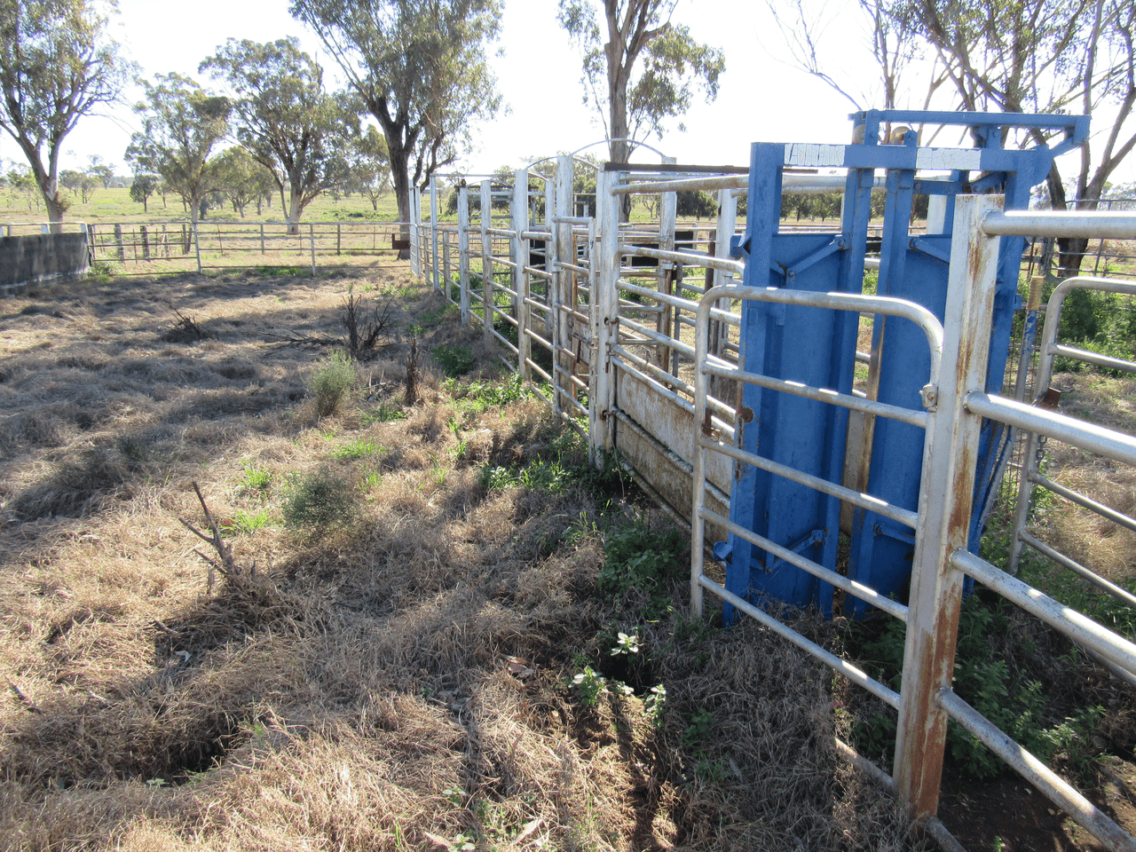 89 Soldiers Settlement Road, Bective, NSW 2340