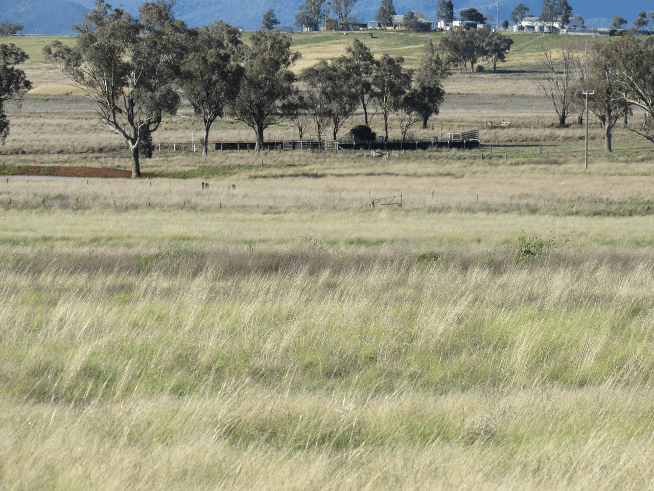 89 Soldiers Settlement Road, Bective, NSW 2340