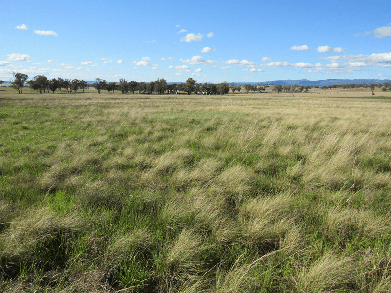 89 Soldiers Settlement Road, Bective, NSW 2340