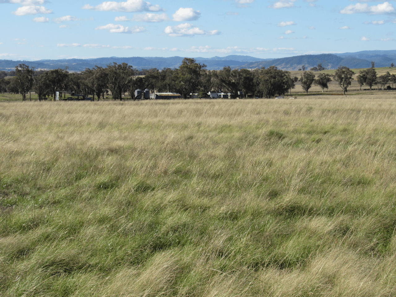 89 Soldiers Settlement Road, Bective, NSW 2340