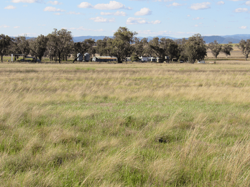 89 Soldiers Settlement Road, Bective, NSW 2340