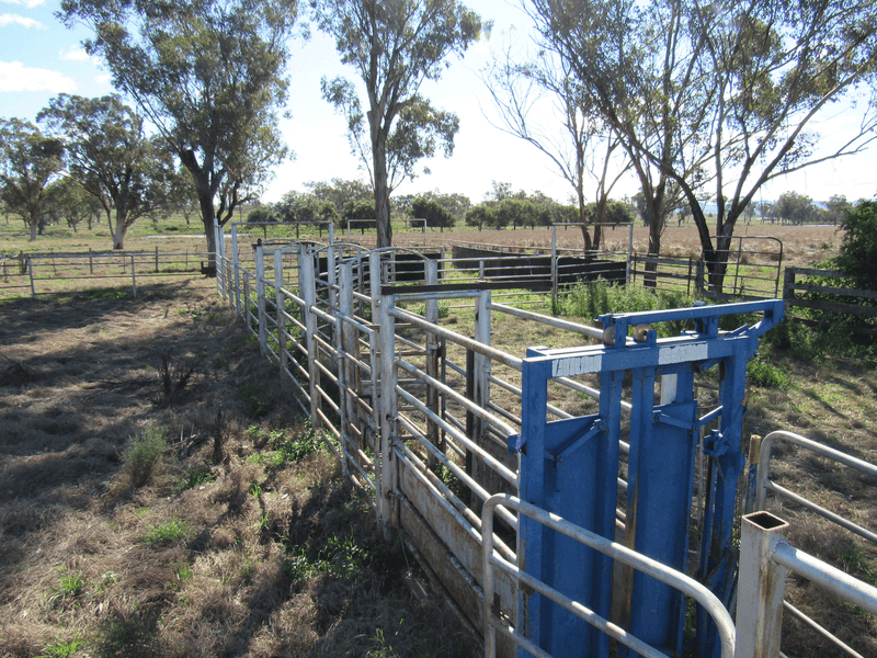 89 Soldiers Settlement Road, Bective, NSW 2340