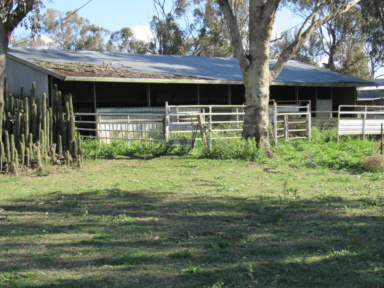 89 Soldiers Settlement Road, Bective, NSW 2340