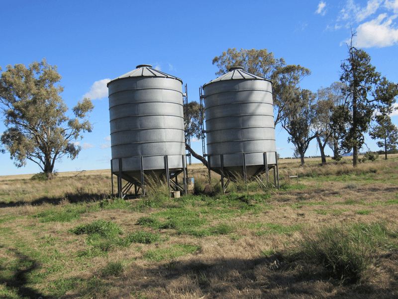 89 Soldiers Settlement Road, Bective, NSW 2340