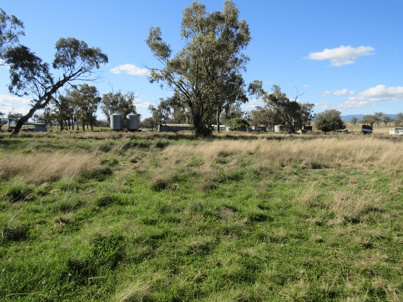 89 Soldiers Settlement Road, Bective, NSW 2340