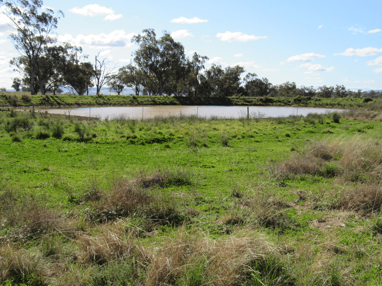 89 Soldiers Settlement Road, Bective, NSW 2340