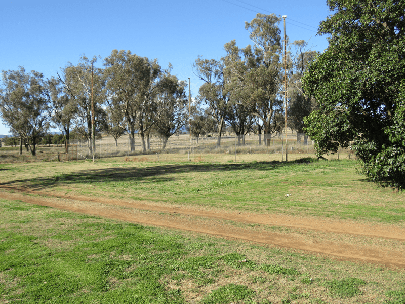 89 Soldiers Settlement Road, Bective, NSW 2340