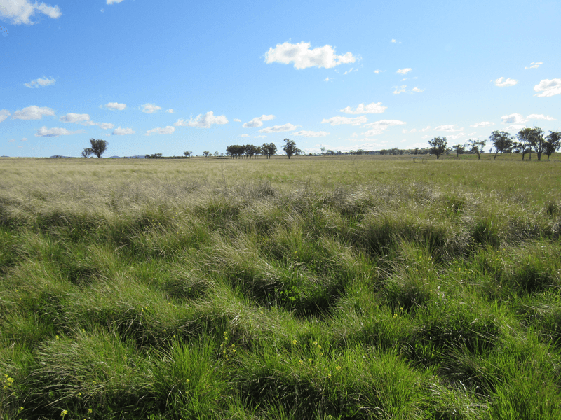 89 Soldiers Settlement Road, Bective, NSW 2340