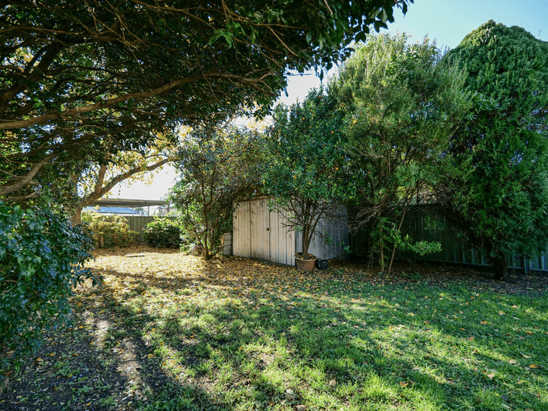 16 Elizabeth Street, SINGLETON, NSW 2330