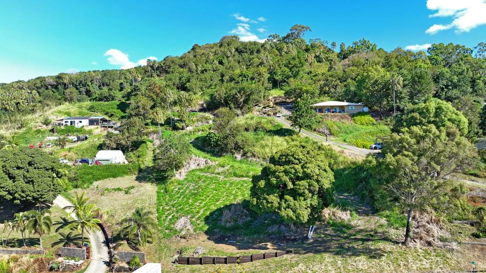 53 Ridgewood Drive, Farleigh, QLD 4741