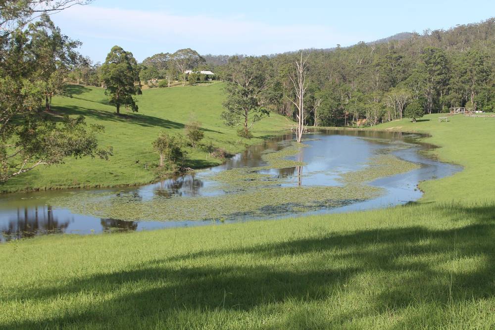 71 SUNDOWNER ROAD, BAKERS CREEK, NSW 2447