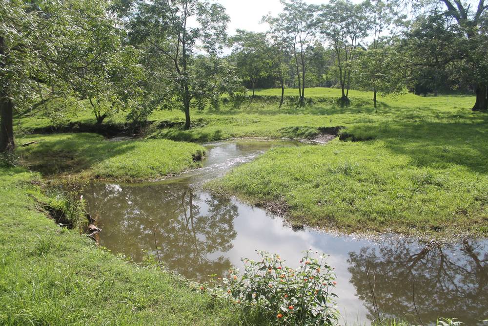 71 SUNDOWNER ROAD, BAKERS CREEK, NSW 2447