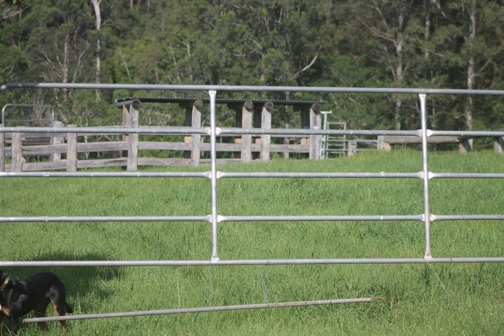 71 SUNDOWNER ROAD, BAKERS CREEK, NSW 2447