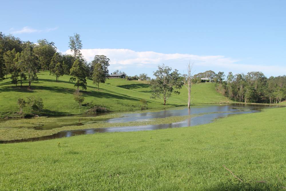 71 SUNDOWNER ROAD, BAKERS CREEK, NSW 2447