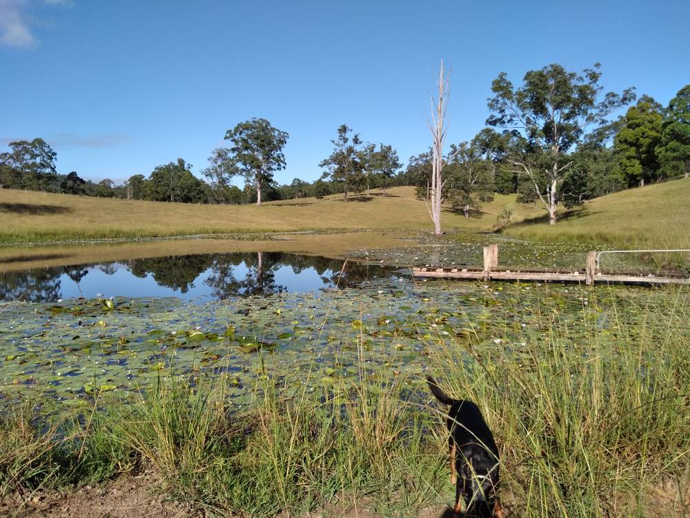 71 SUNDOWNER ROAD, BAKERS CREEK, NSW 2447