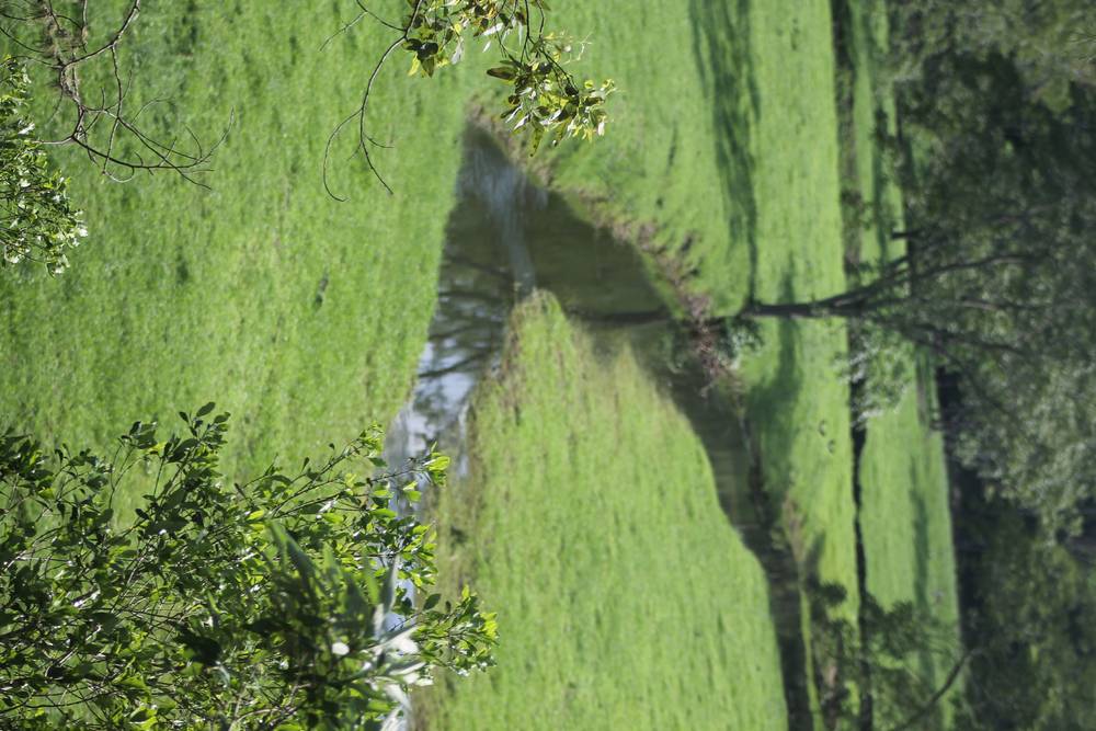 71 SUNDOWNER ROAD, BAKERS CREEK, NSW 2447