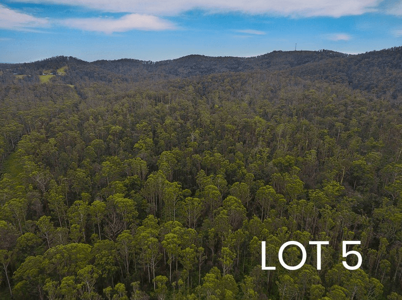 Lot 4 & 5/150 Coates Road, POSSUM BRUSH, NSW 2430