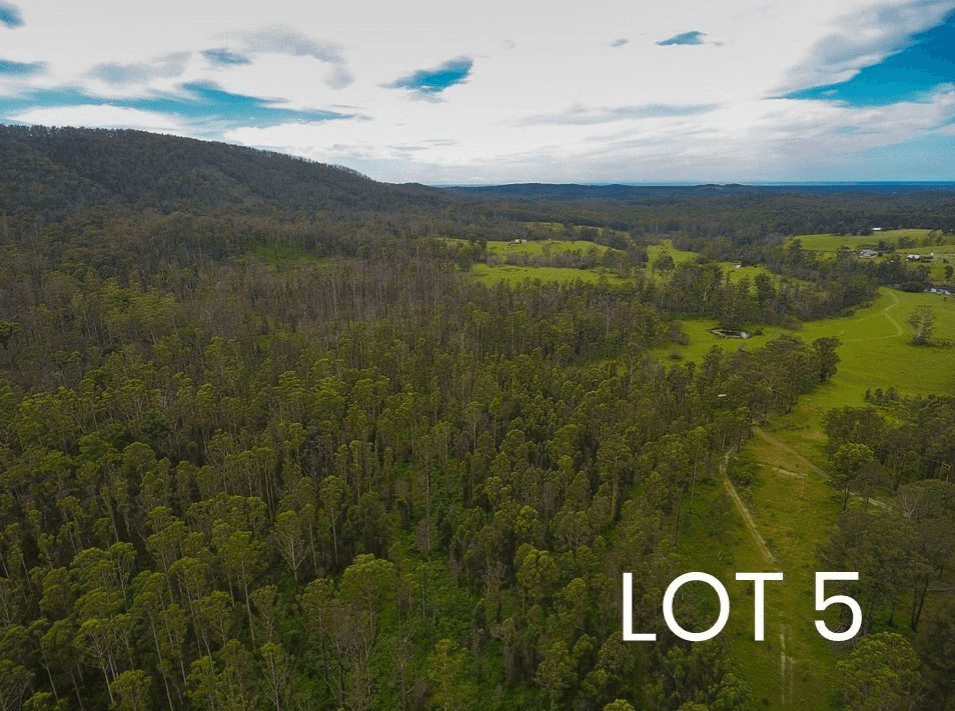 Lot 4 & 5/150 Coates Road, POSSUM BRUSH, NSW 2430