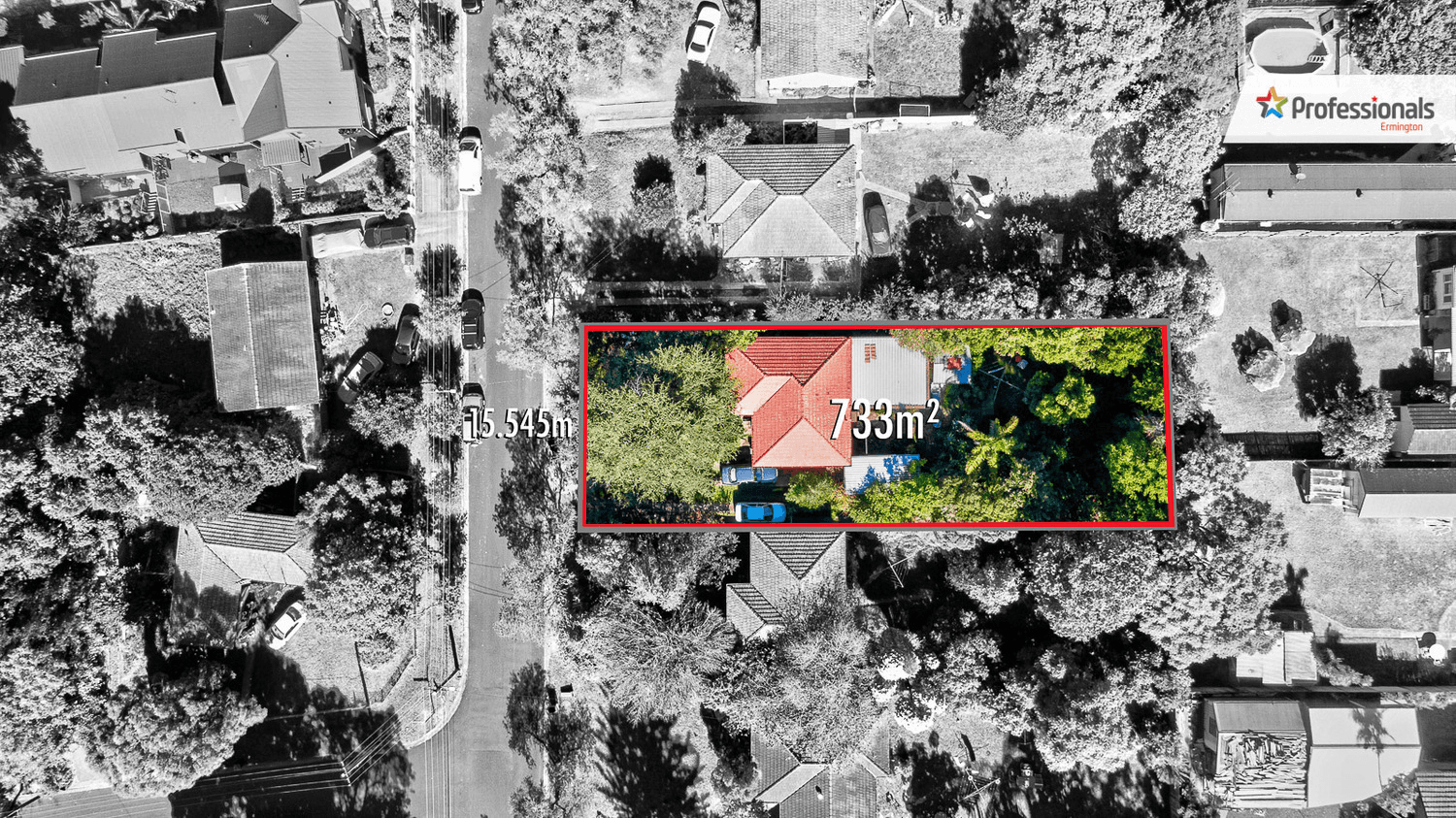 19 Burke Street, Telopea, NSW 2117