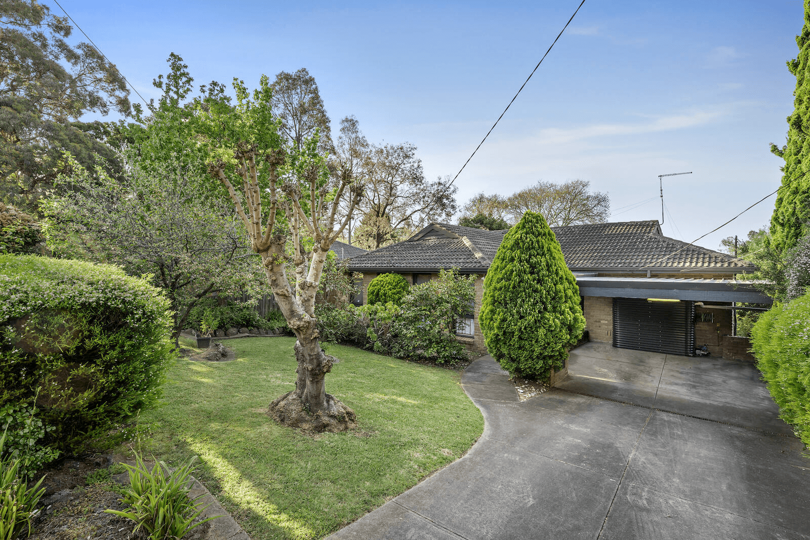 9 Argus Crescent, DONCASTER EAST, VIC 3109