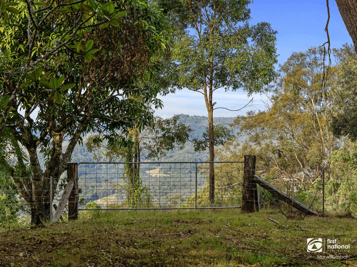 5567 Kyogle Road, Cawongla, NSW 2474