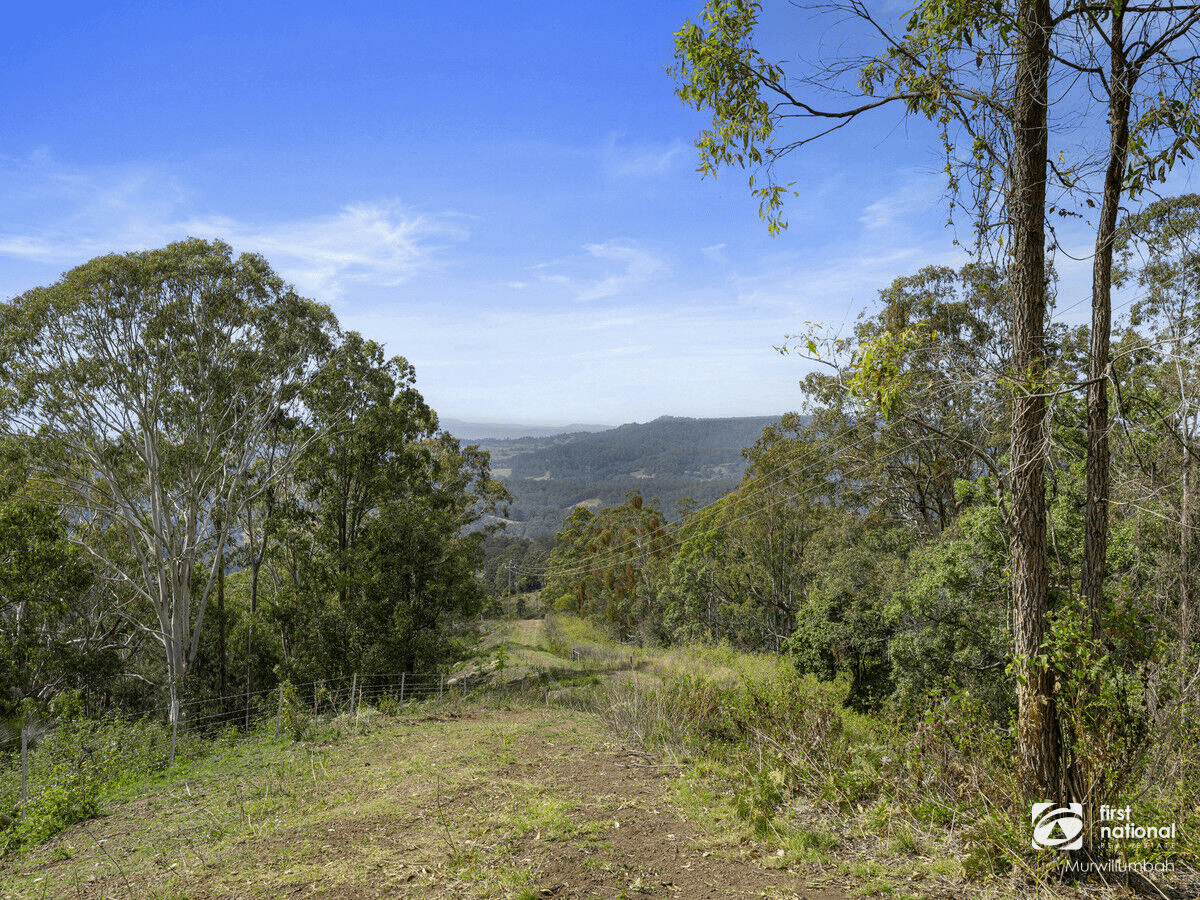 5567 Kyogle Road, Cawongla, NSW 2474