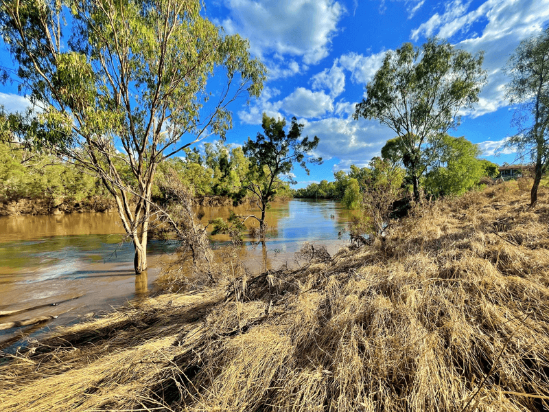 The Grange/60 Bondi Road, GOONDIWINDI, QLD 4390