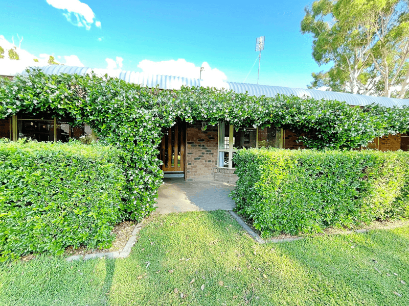 The Grange/60 Bondi Road, GOONDIWINDI, QLD 4390