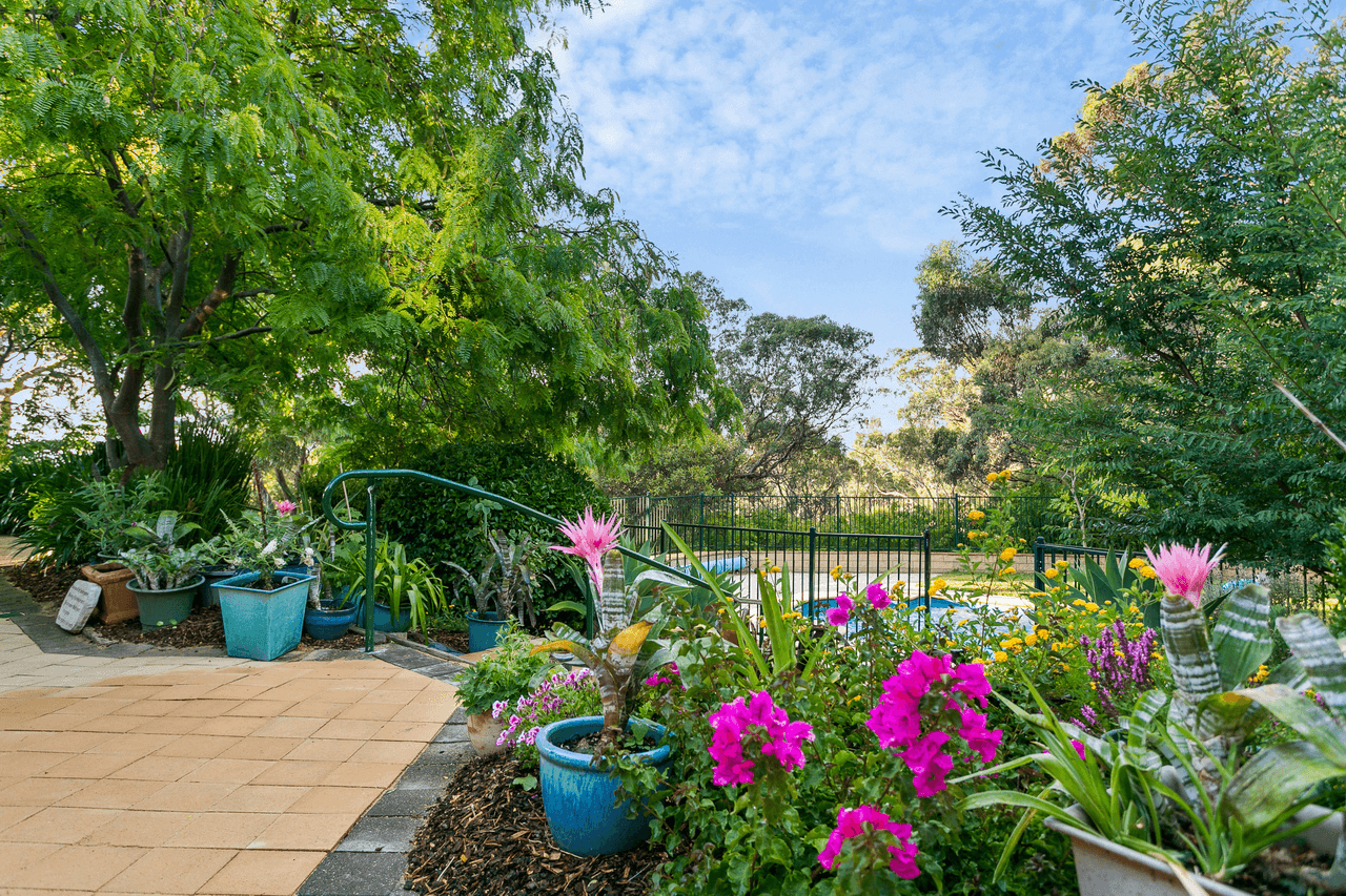 61 Greenfield Rise, ABERFOYLE PARK, SA 5159